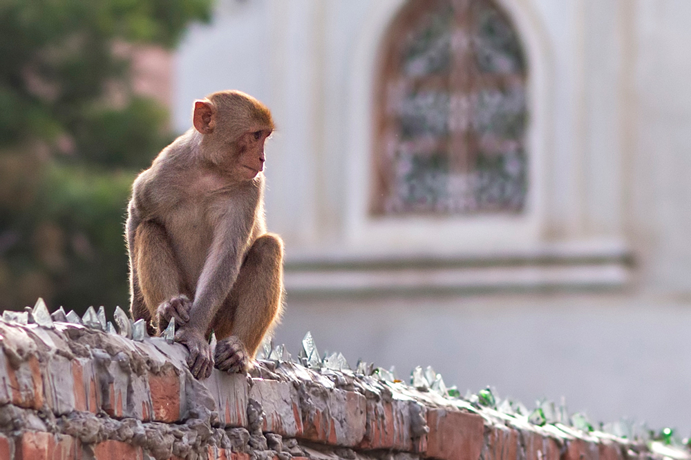 varanasi...#3