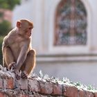 varanasi...#3