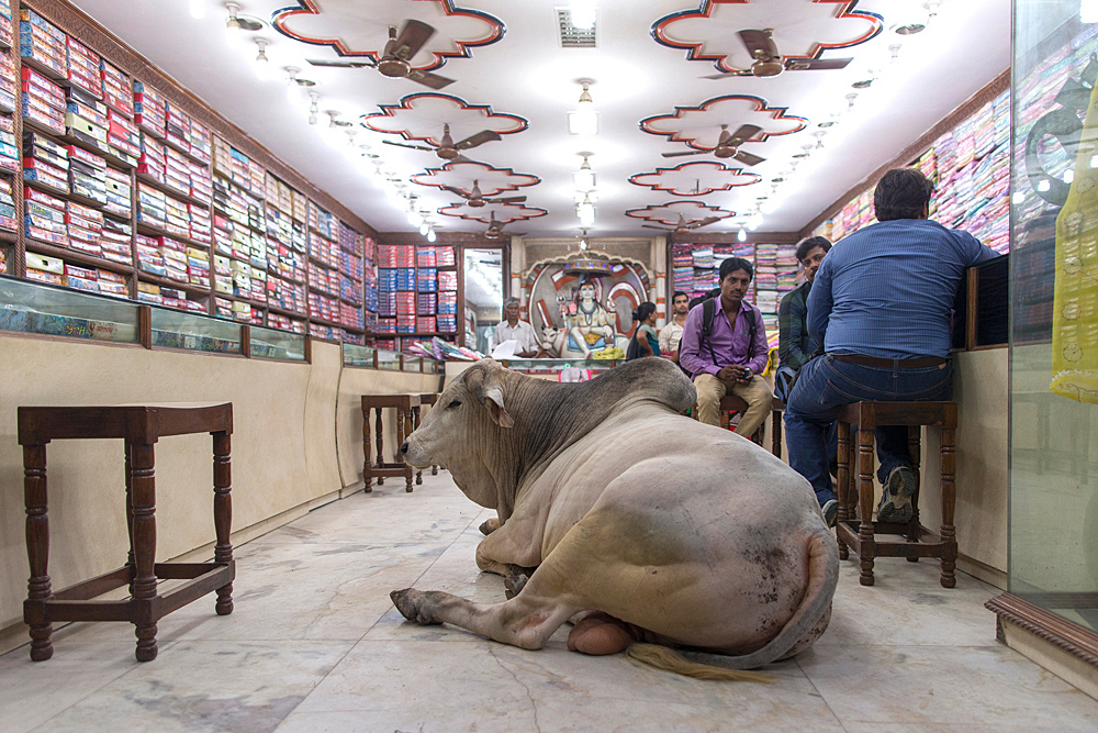 varanasi...#5