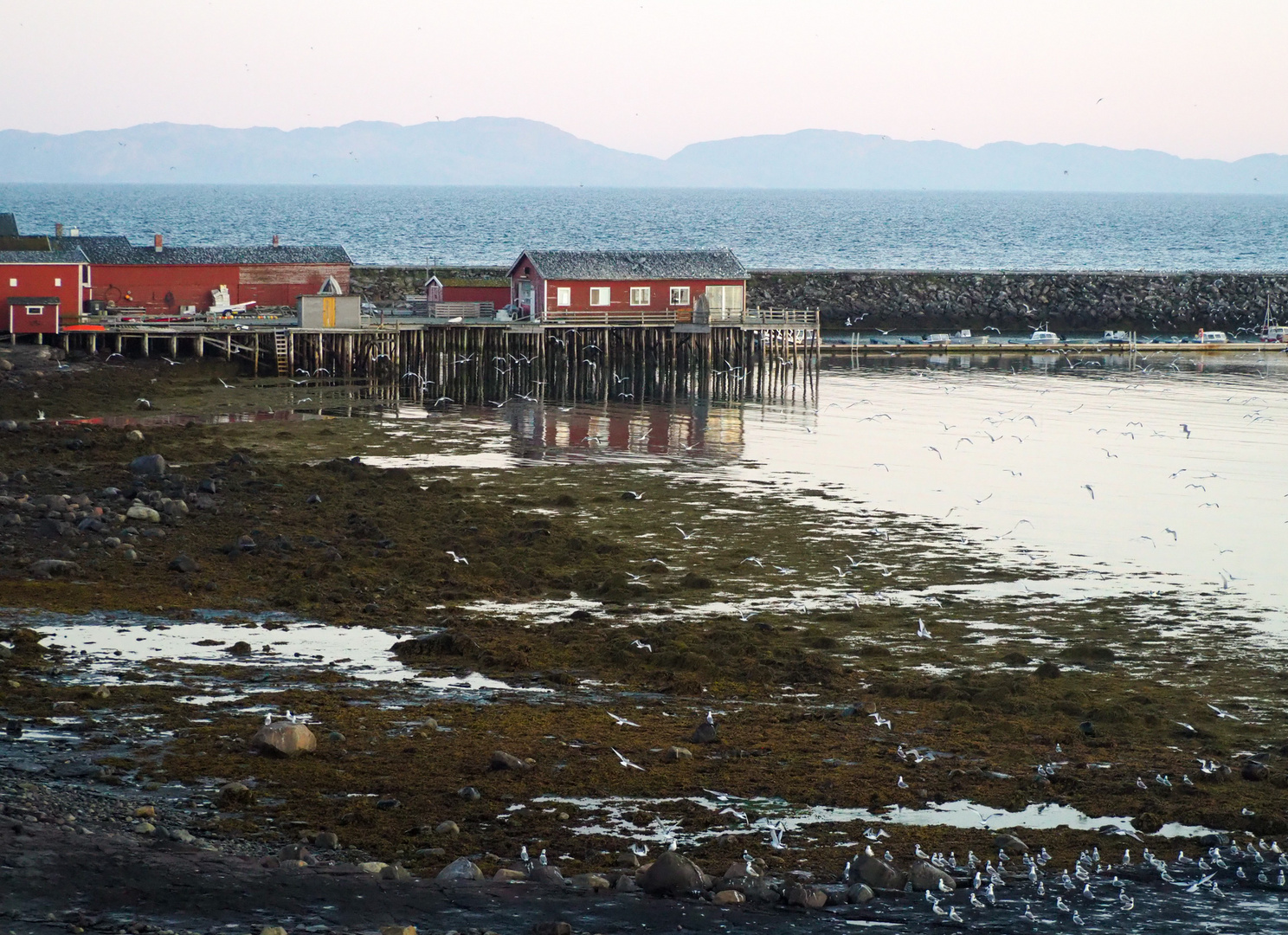 Varanger- EKKERØY