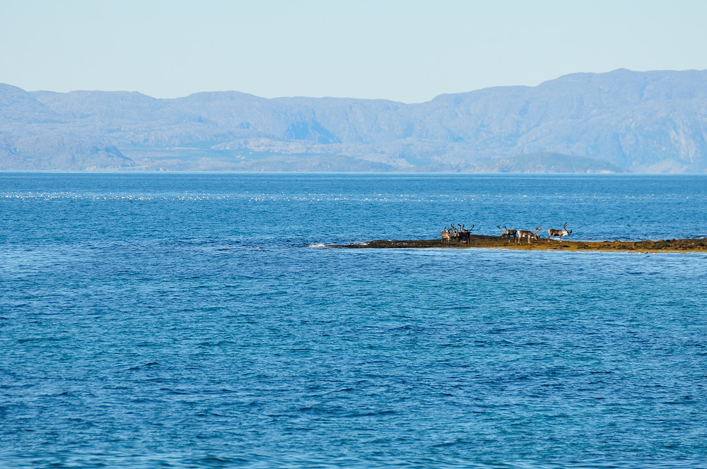 Varanger Halbinsel #2