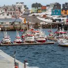 VARDØ