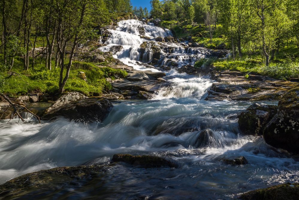 Vardahaugselvi