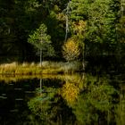 Vardåsen naturreservat i Rygge