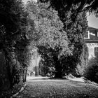 Varese, Villa Craven, strada nel parco