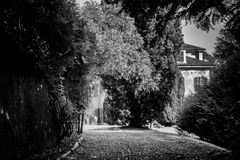 Varese, Villa Craven, strada nel parco
