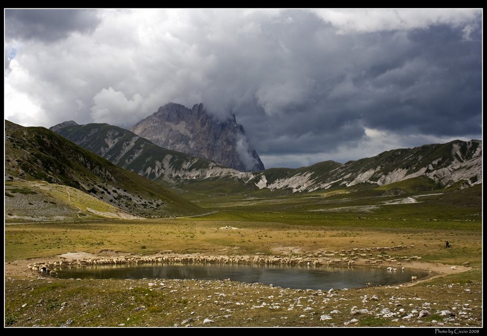 Variante "pastorizia" di una foto classica