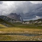 Variante "pastorizia" di una foto classica