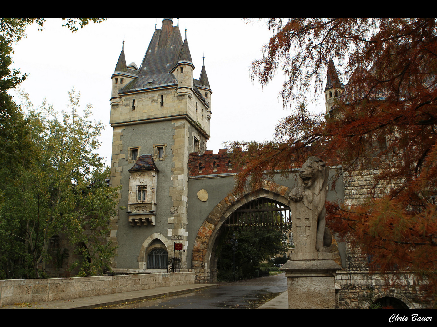 Városliget & Burg Vajdahunyad