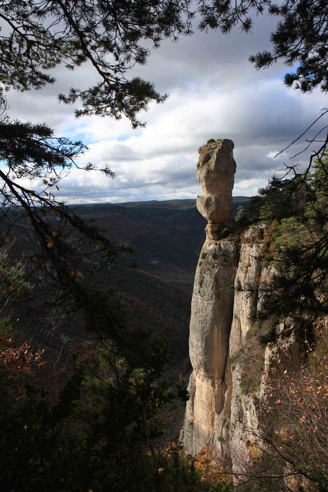 Vase de Sèvre (Gorge de la Jonte)