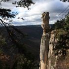 Vase de Sèvre (Gorge de la Jonte)