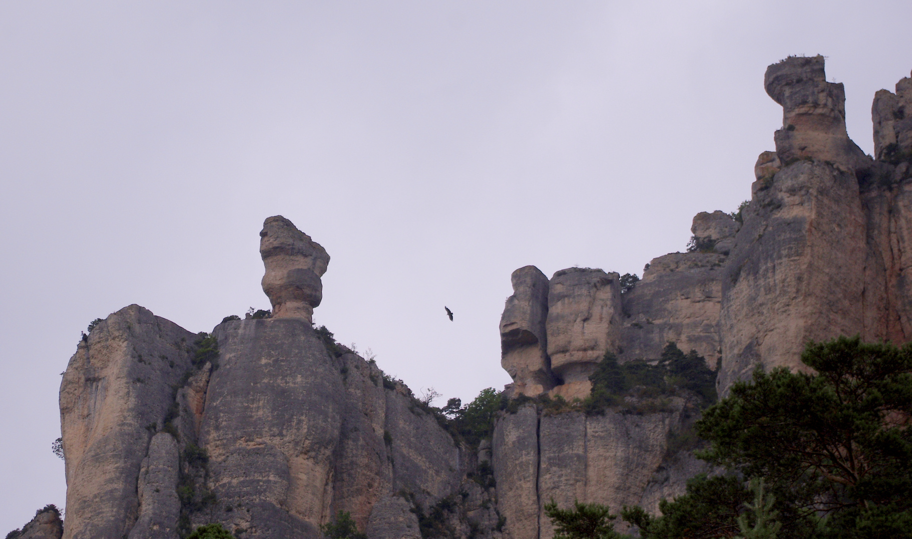 Vase de Sèvres, de la Jonte, Lozère photo et image paysages