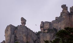 Vase de Sèvres, Gorges de la Jonte, Lozère