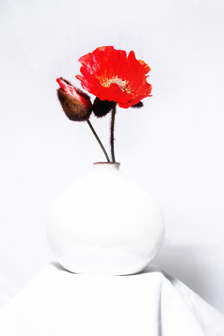 Vase mit Blume