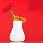 Vase mit Blumen