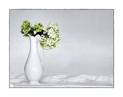 Vase mit Hortensienblüten