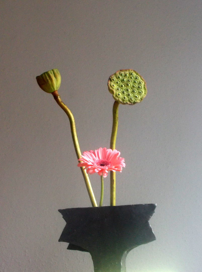 Vase mit Lotoskapseln +  Gerbera