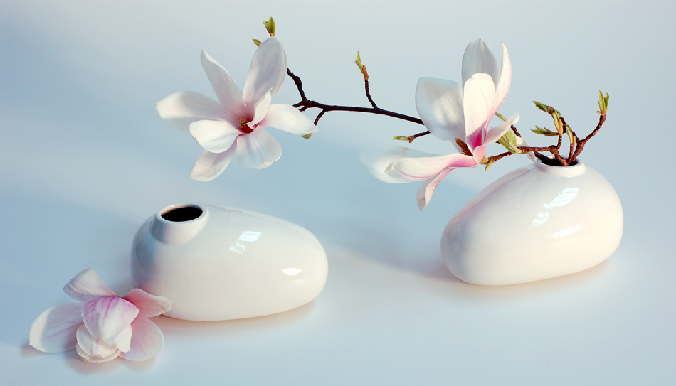 Vase mit Magnolie