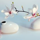 Vase mit Magnolie