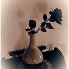 Vase mit "roter" Rose