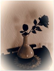 Vase mit "roter" Rose