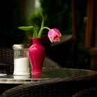 Vase mit Tulpe