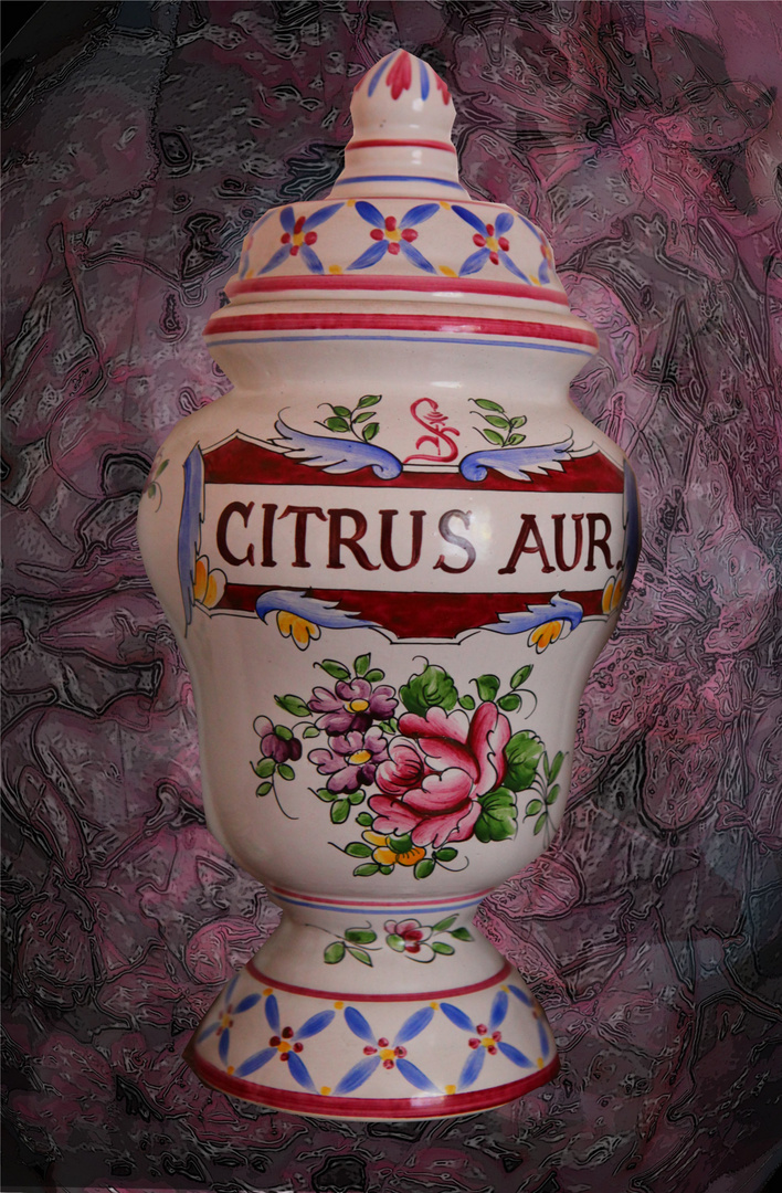 VASES MEDICINAUX PRADET (5)