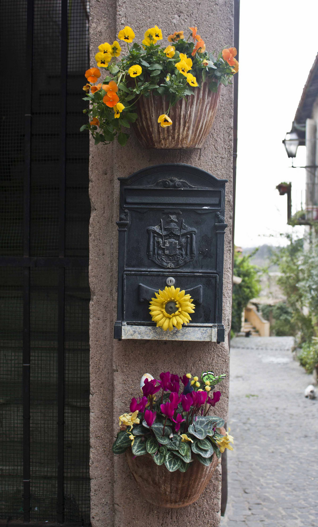 Vasi di fiori a Formello