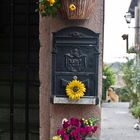 Vasi di fiori a Formello