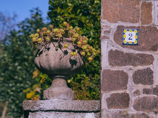 Vaso del civico nr 2