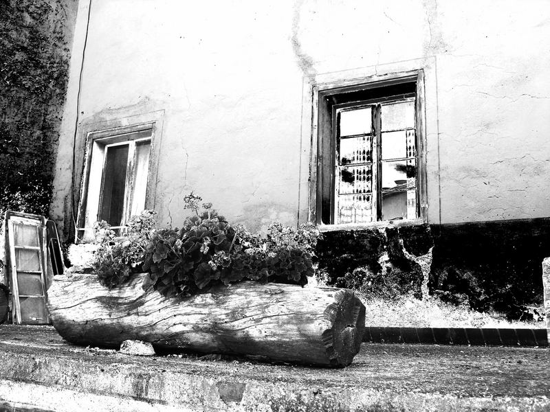 vaso di tronco con finesta