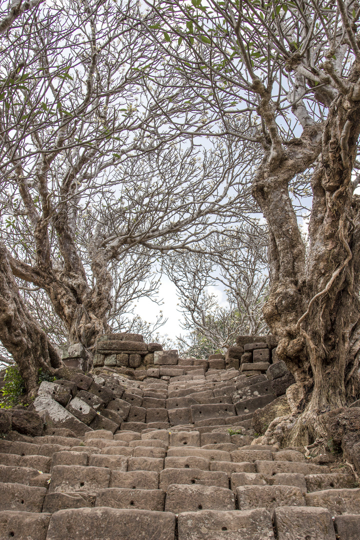 Vat Phu Temple (Laos)