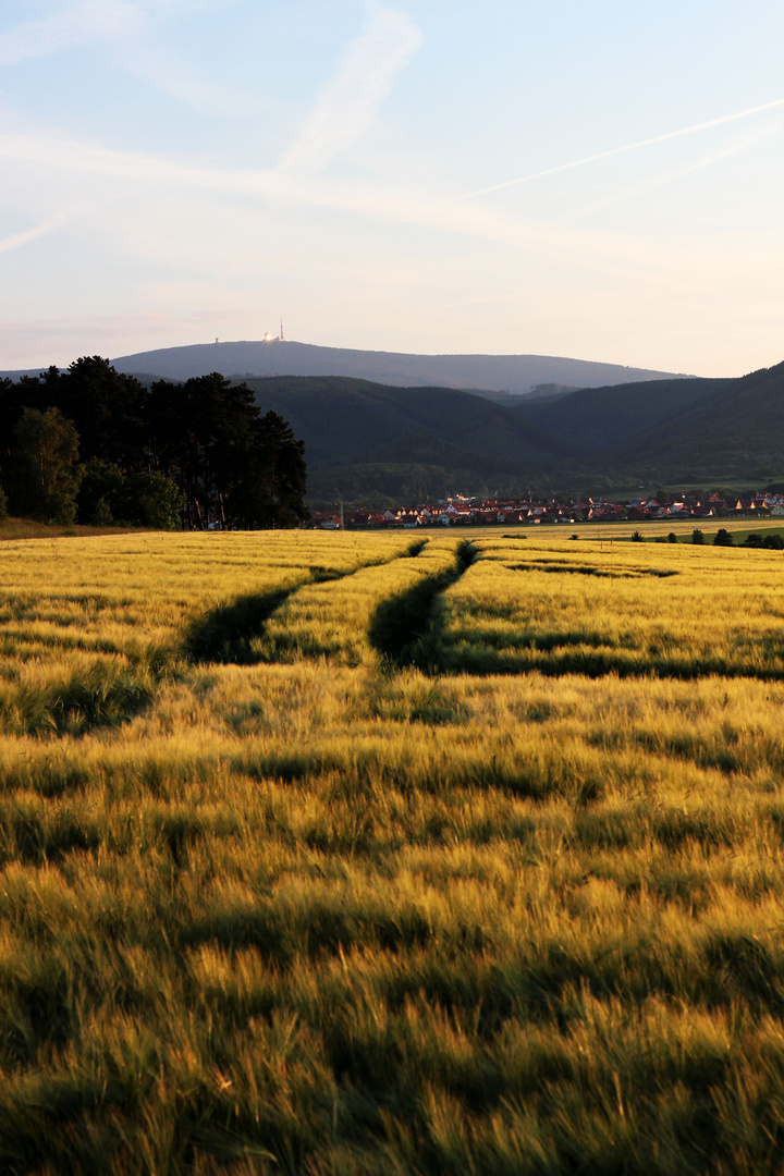 Vater Brocken im Blick