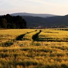 Vater Brocken im Blick