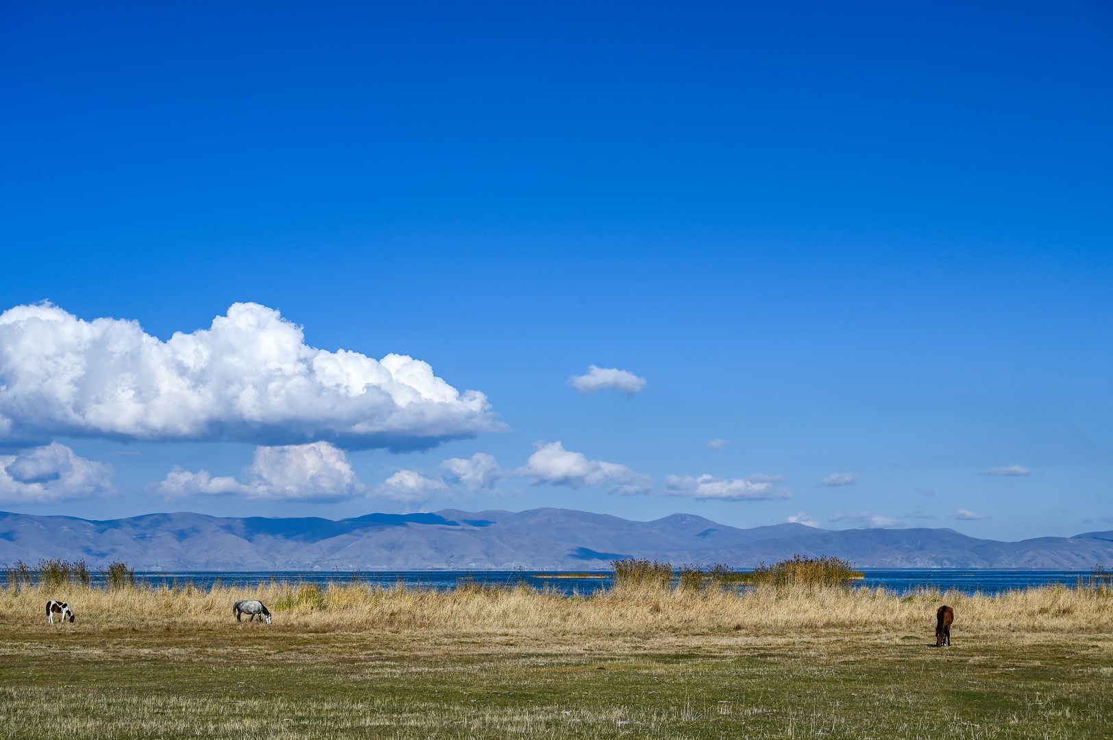 Vater, Mutter und Kind am Sevan-See