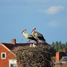 Vater, Mutter und zwei Kinder