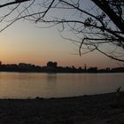 Vater Rhein bei Sonnenuntergang in Düsseldorf