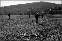 . Vater Rhein braucht Regen .