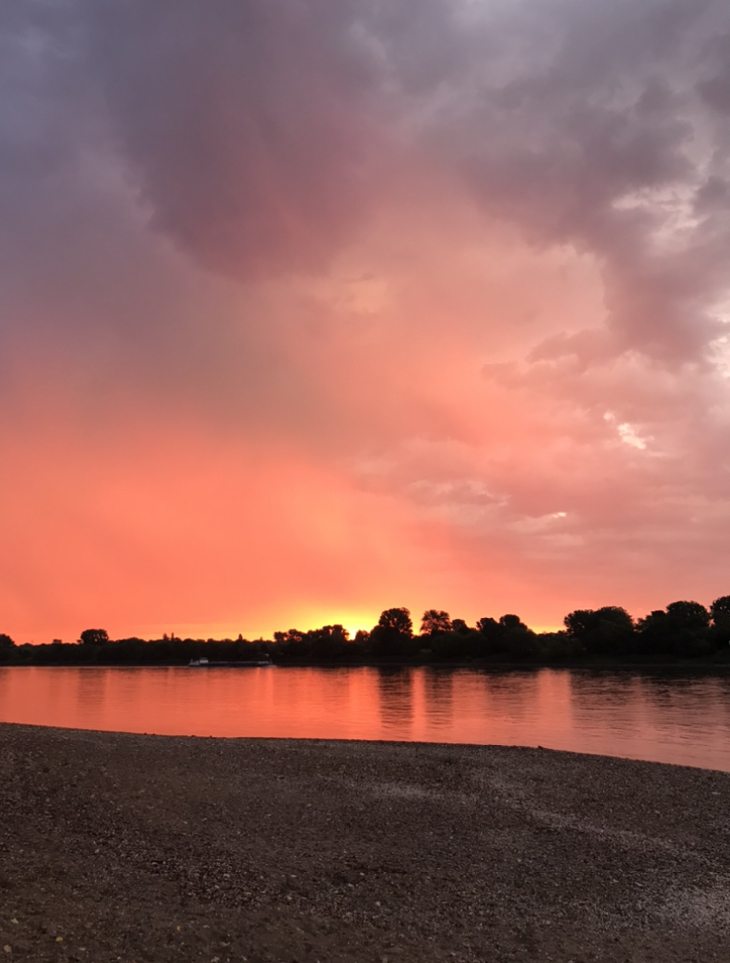 Vater Rhein erwacht. 