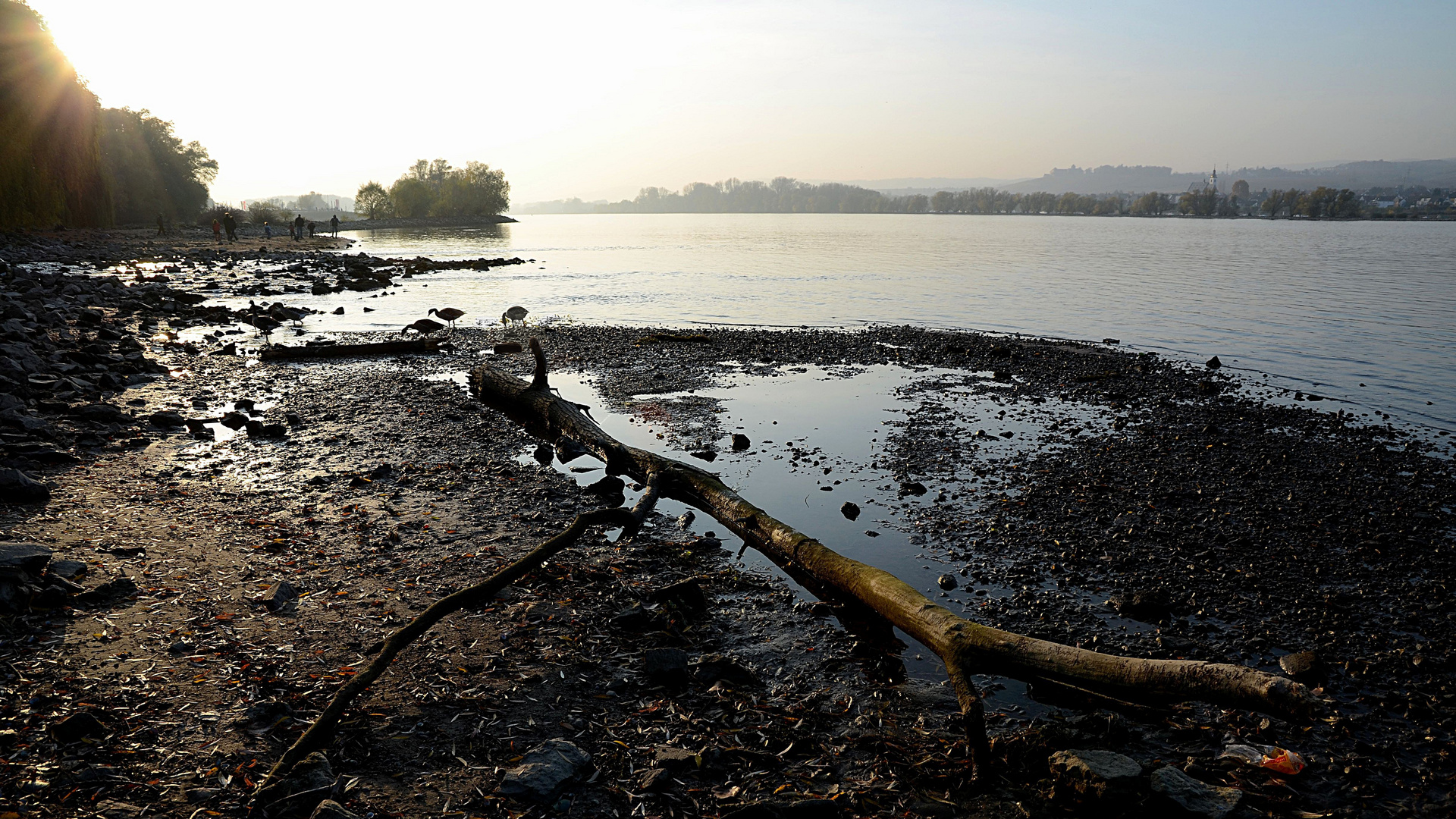 Vater Rhein hat Durst