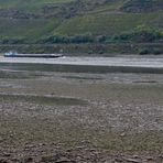 Vater Rhein in seinem Bett