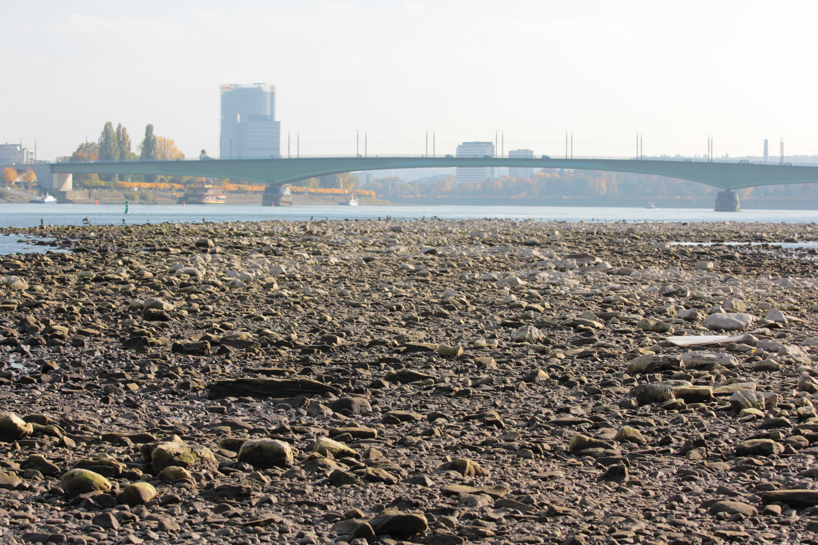 Vater Rhein in seinem Bett gesehen