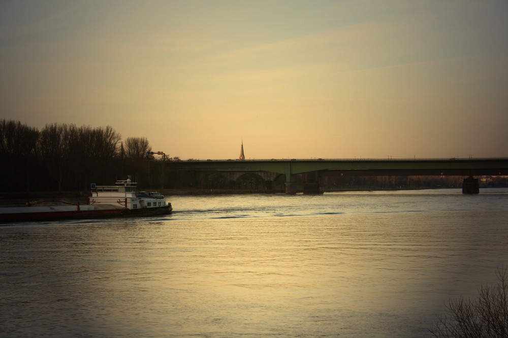 .. Vater Rhein mit Südbrücke ..