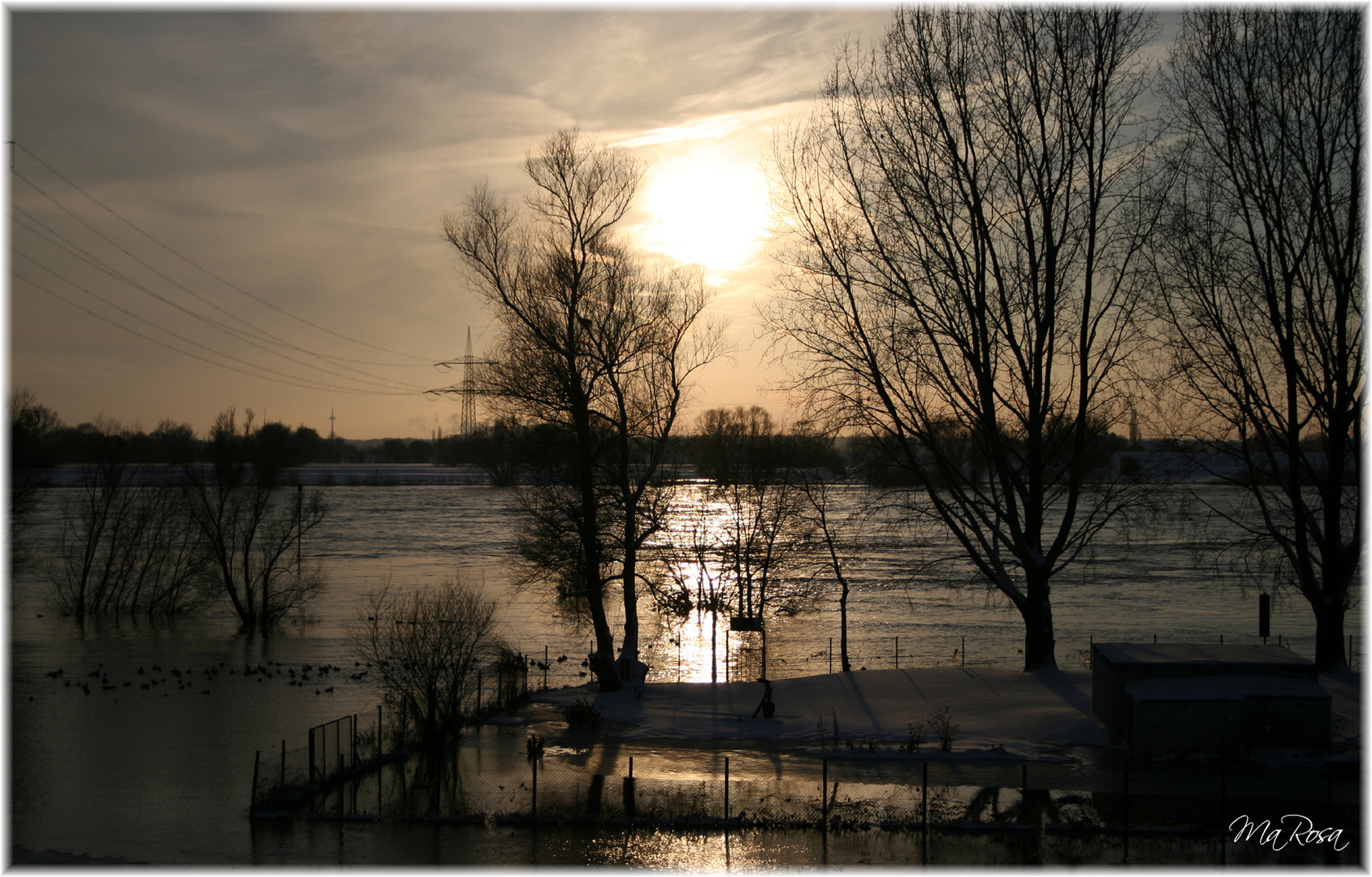 Vater Rhein sucht Neue Wege