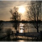 Vater Rhein sucht Neue Wege