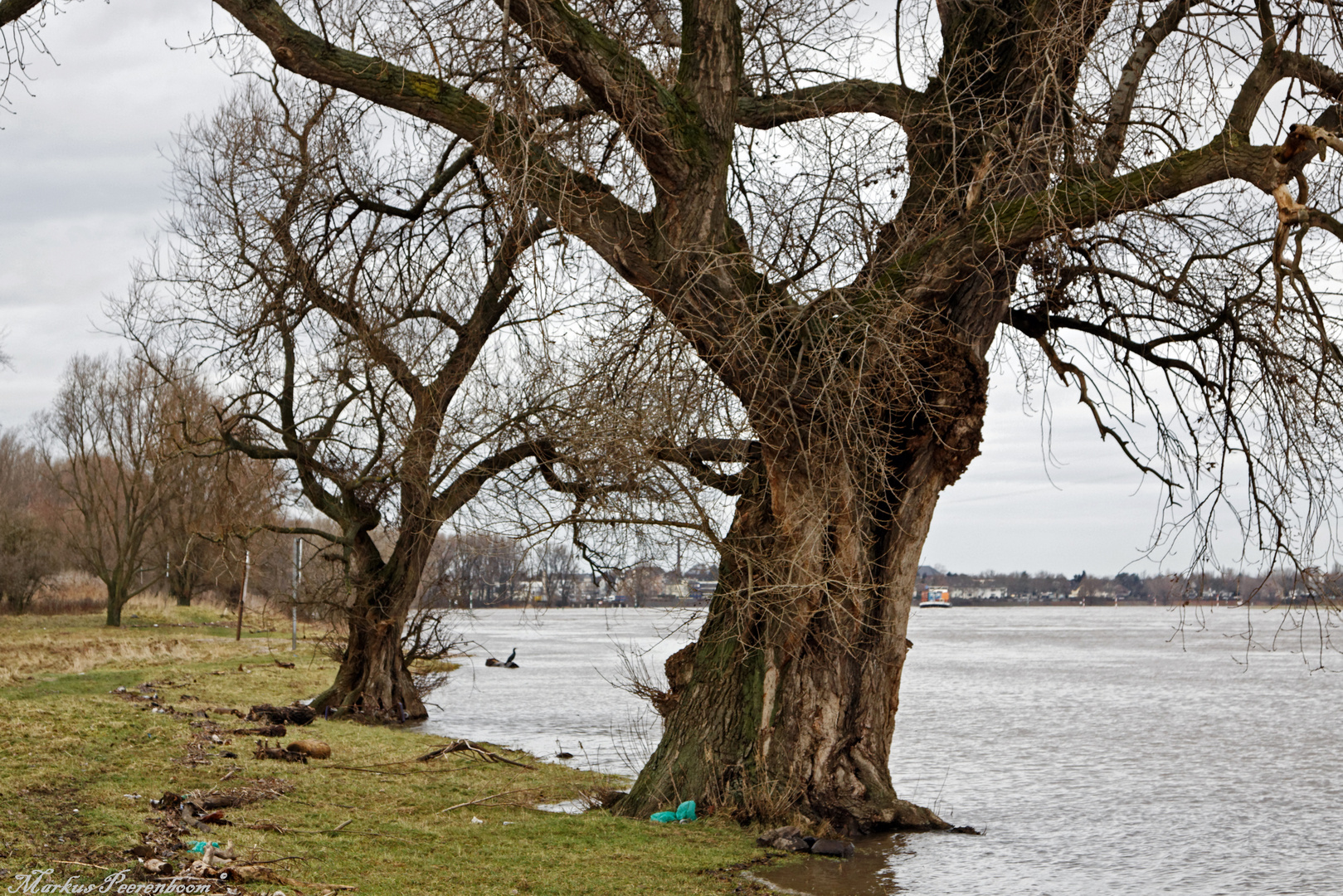 Vater Rhein sucht sich ein breiteres Bett