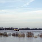 Vater Rhein sucht sich ein sehr großes Bett