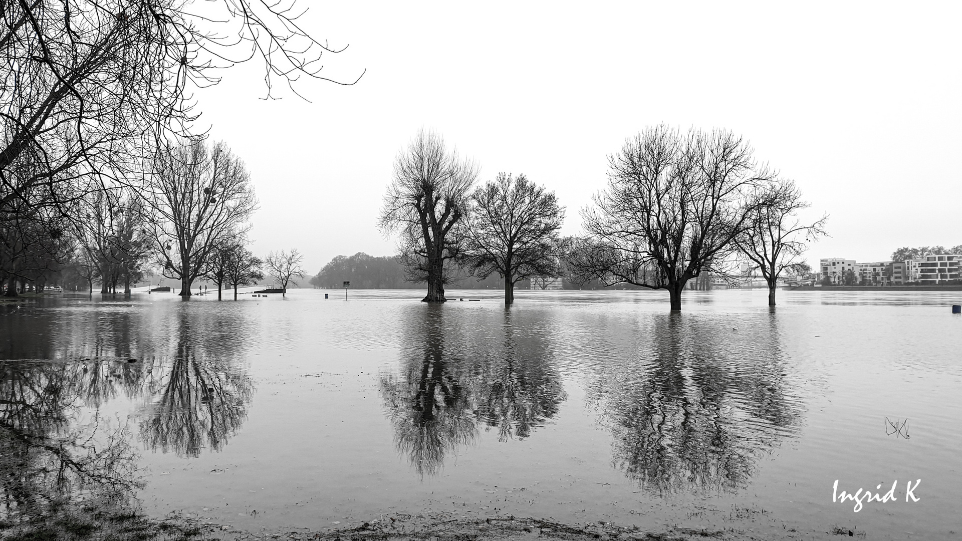 Vater Rhein verlässt sein Bett