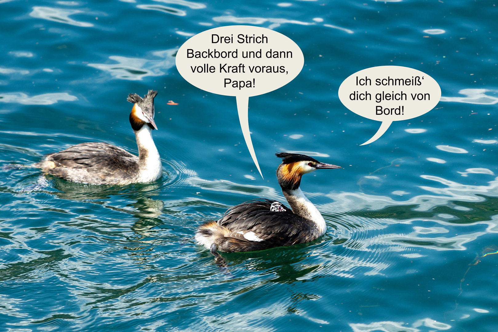 Vater sein