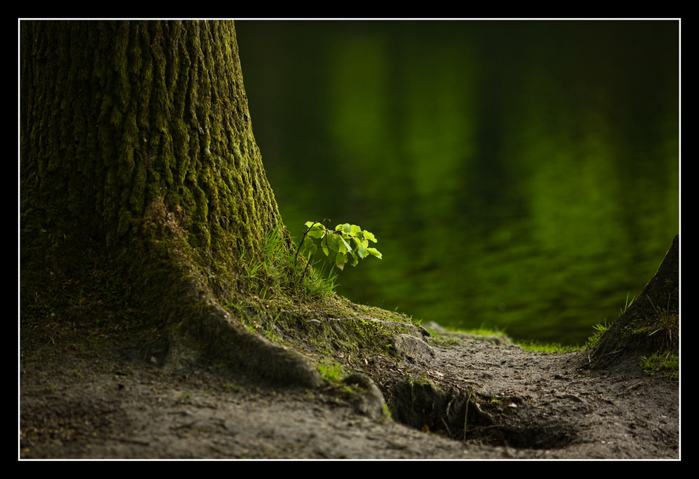 Vater & Sohn